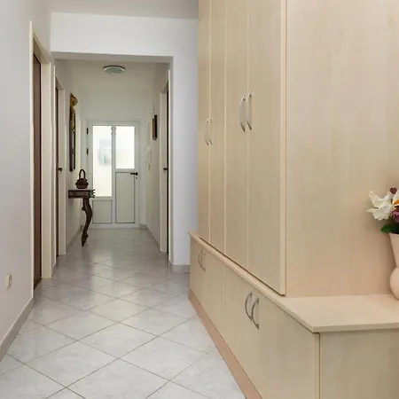 2805b * Мимице